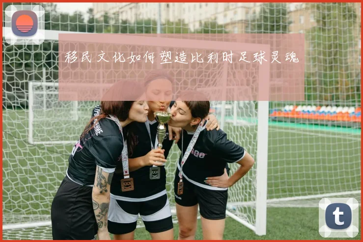 移民文化如何塑造比利时足球灵魂