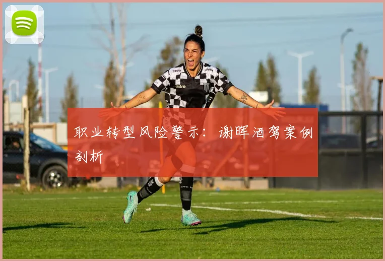 职业转型风险警示：谢晖酒驾案例剖析