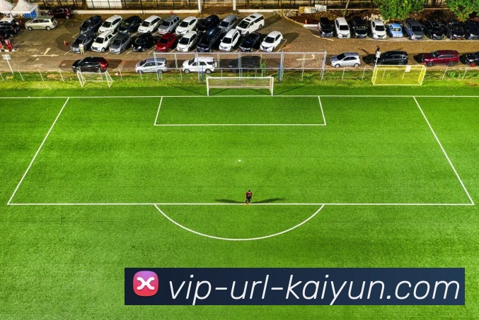 App 展示图