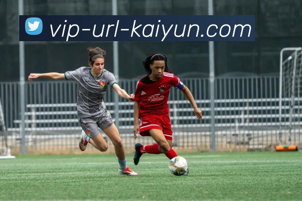 App Interface Preview